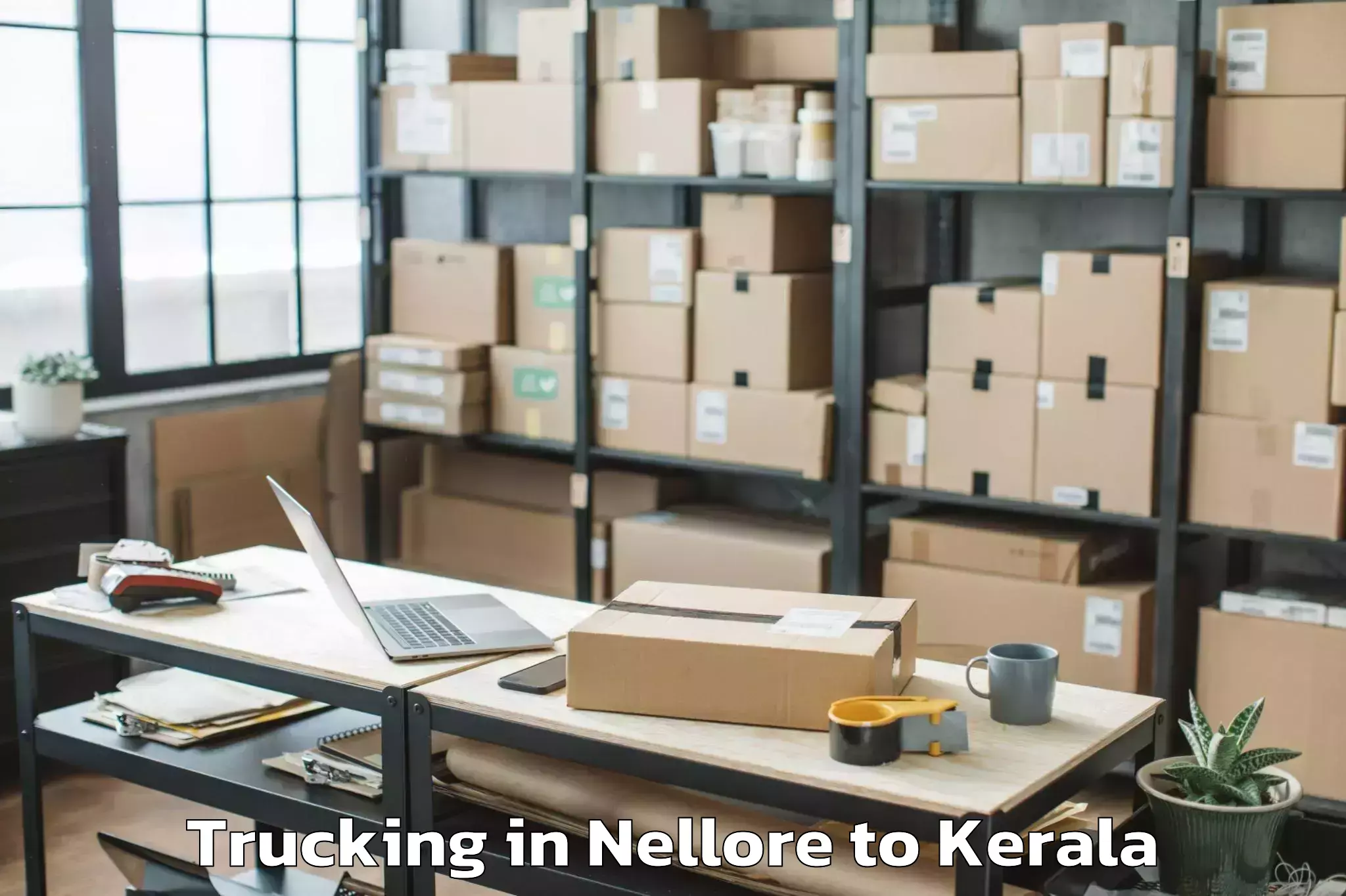 Top Nellore to Kollam Trucking Available